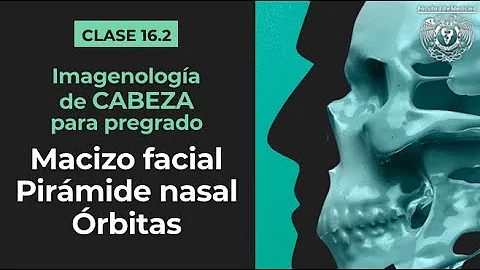 ¿Qué es un macizo nasal?