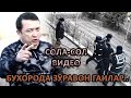 СОЛА-СОЛ... БУХОРОДА ЗӮРАВОН ГАИЛАР...