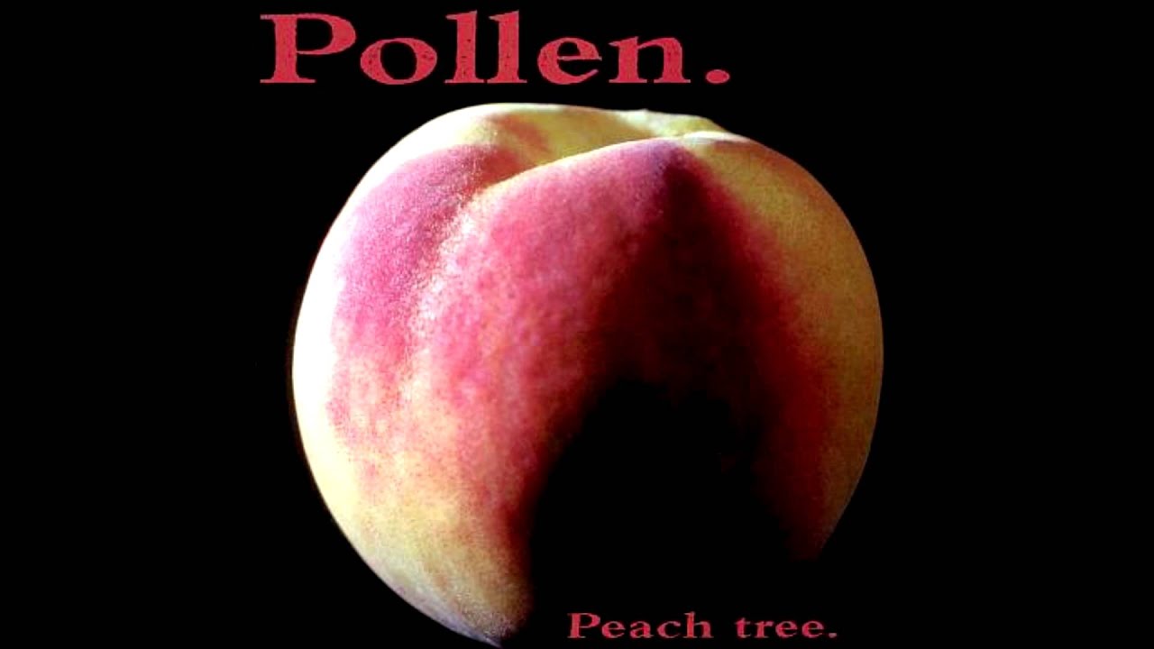 Watch Pollen - Sugarless on YouTube Watch Pollen - Sugarless on YouTube