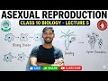 Lacture 5 class 10th asexual reproduction by asgar sir 👍🏆❤️🙏