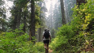hiking across oregon on the PCT [no music] [2023]
