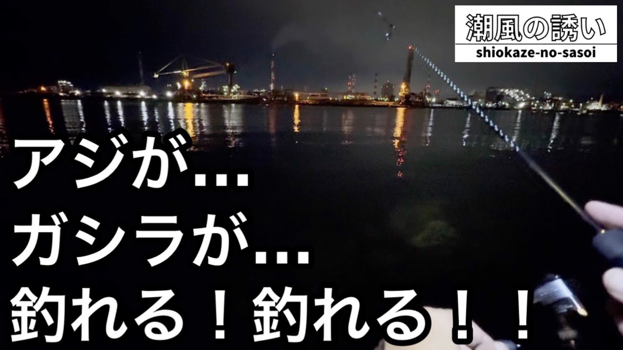 アジング修行どこいった？…アジングが途中からあれあれあれ（笑）