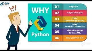 Why python is so Popular
