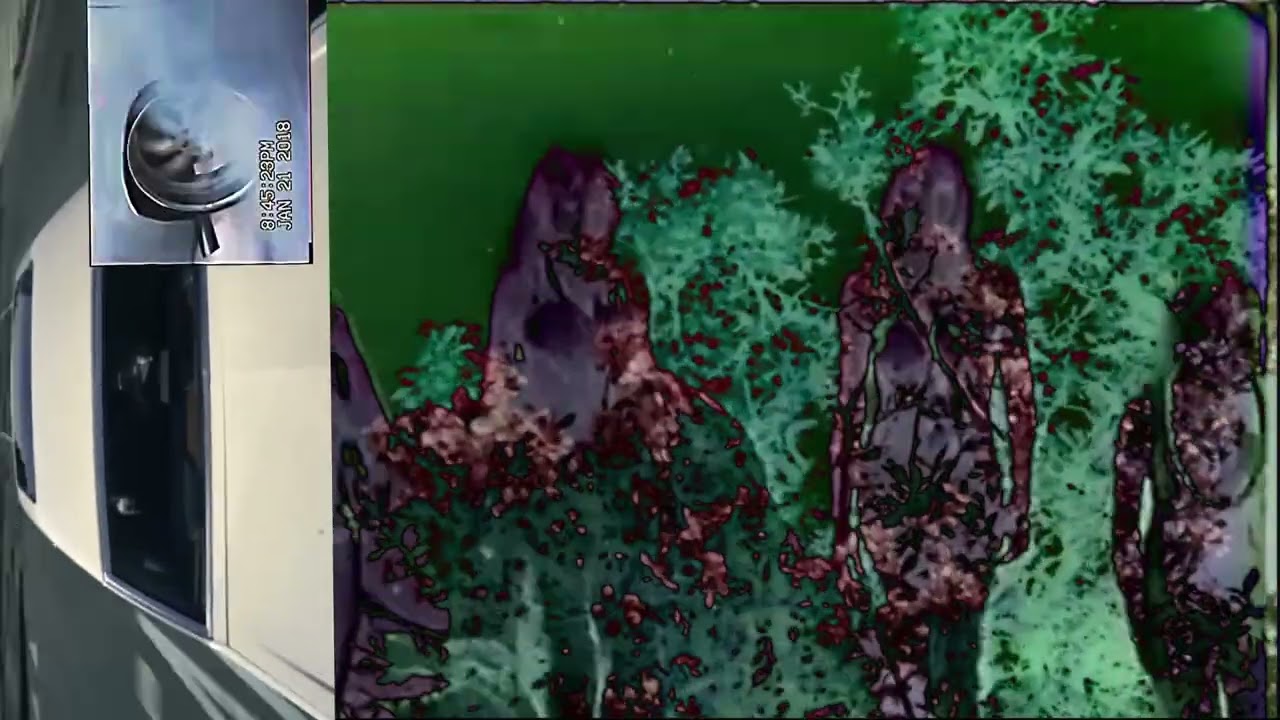 etcetcetc Chthonic Bloom – Experimental Video Collage