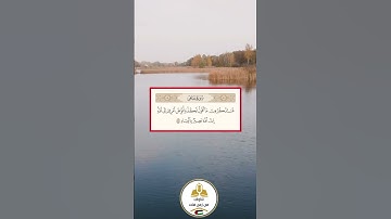الشيخ عبدالباسط عبدالصمد رحمه الله|سورة غافر|تلاوات من زمن فات