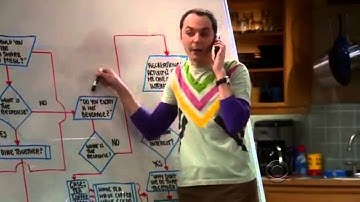 The Big Bang Theory   The Friendship Algorithm