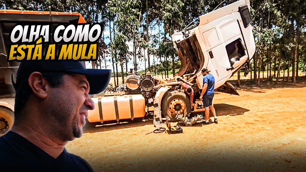 O QUE ACONTECEU COM A MULA!?