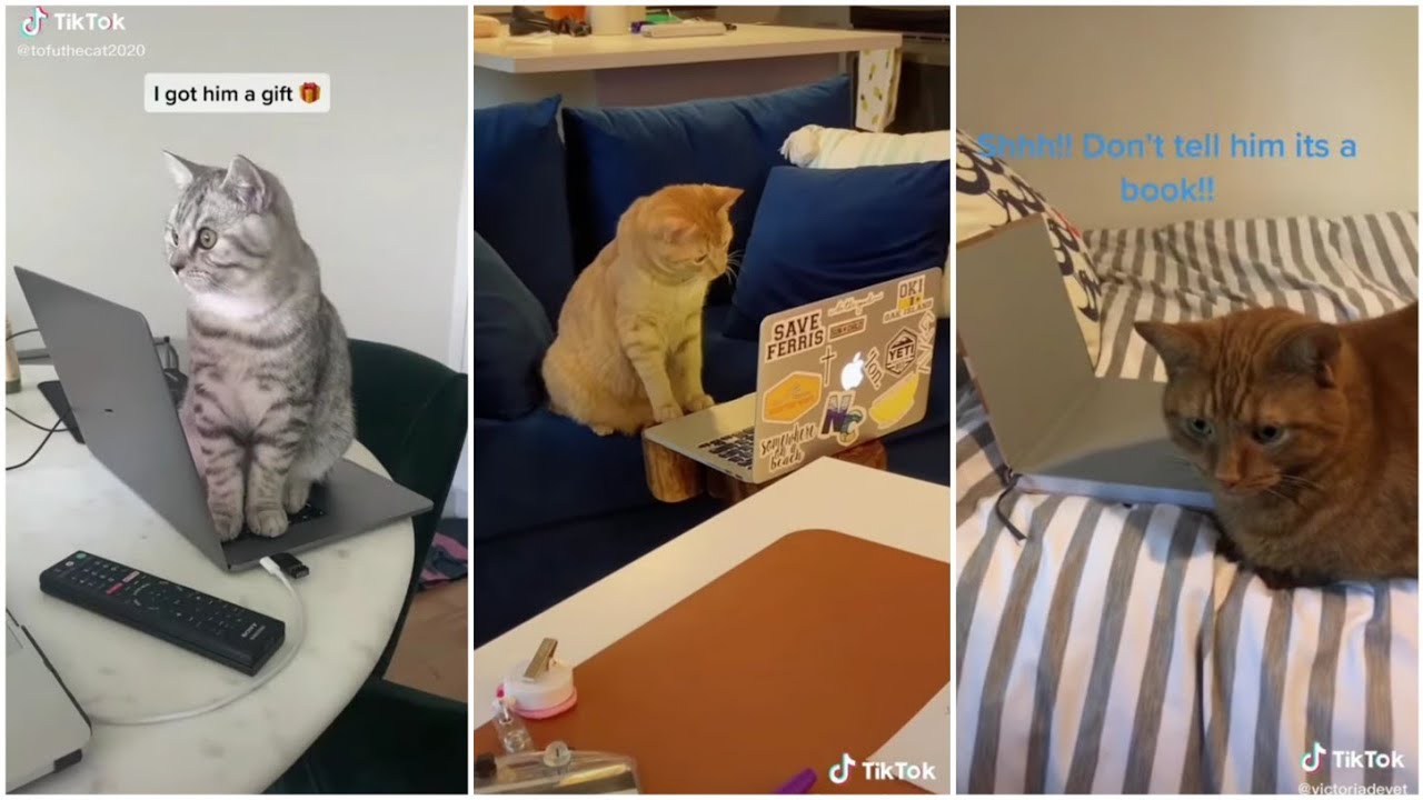 look at this little businessman