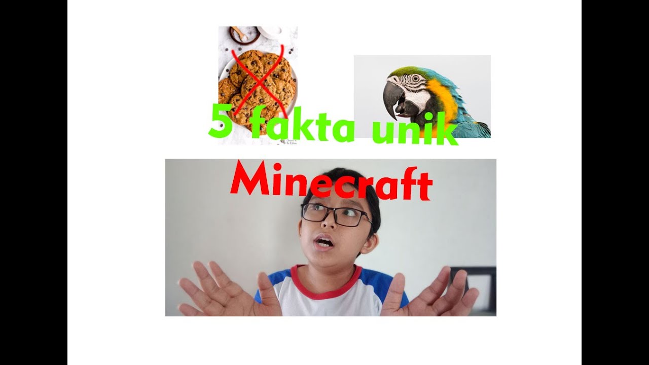 5 Fakta unik Minecraft - YouTube