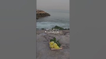 مقطع قران||تلاوة هادئة||ارح قلبك||حالات واتس اب { ستوريات قرآن } Quran Status || اية قرانية قصيره