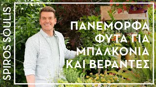 The Most Beautiful Plants for your Balcony | Decoration with Plants | Spiros Soulis