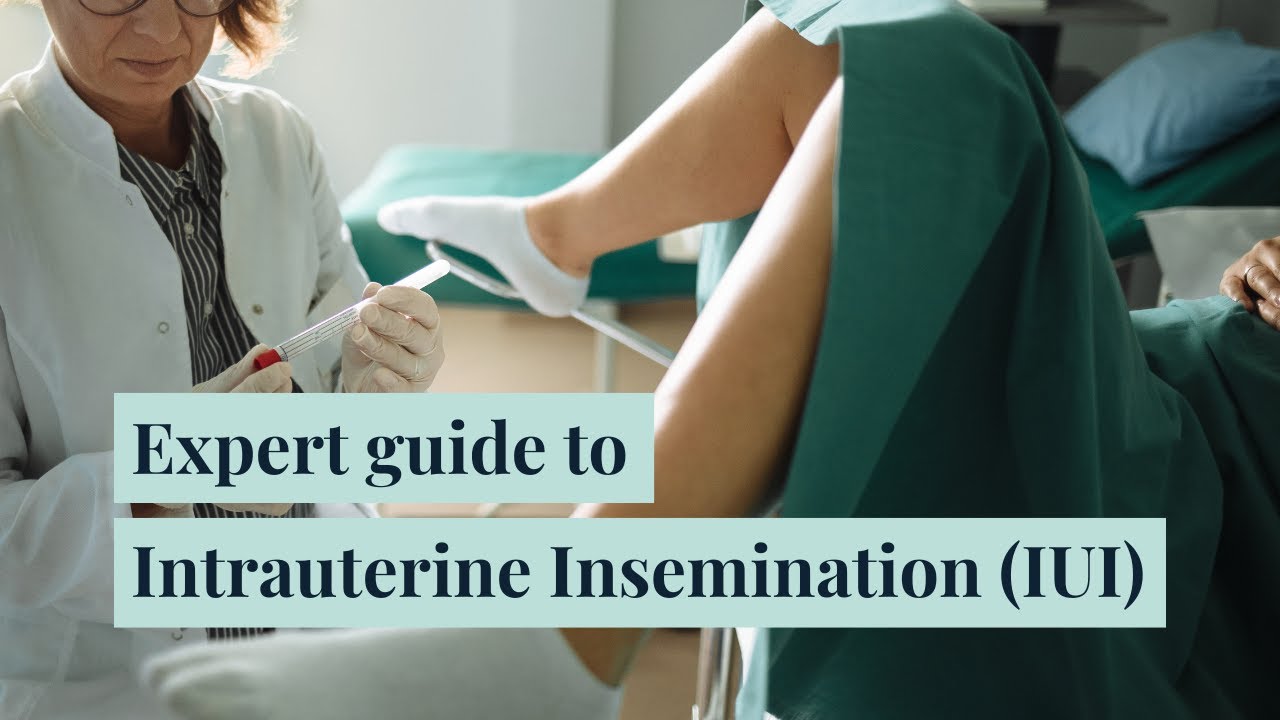 What Is An IUI Expert Guide To Intrauterine Insemination YouTube