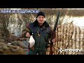 подготовка утки к весенней охоте,принодлежности, охота на селезня