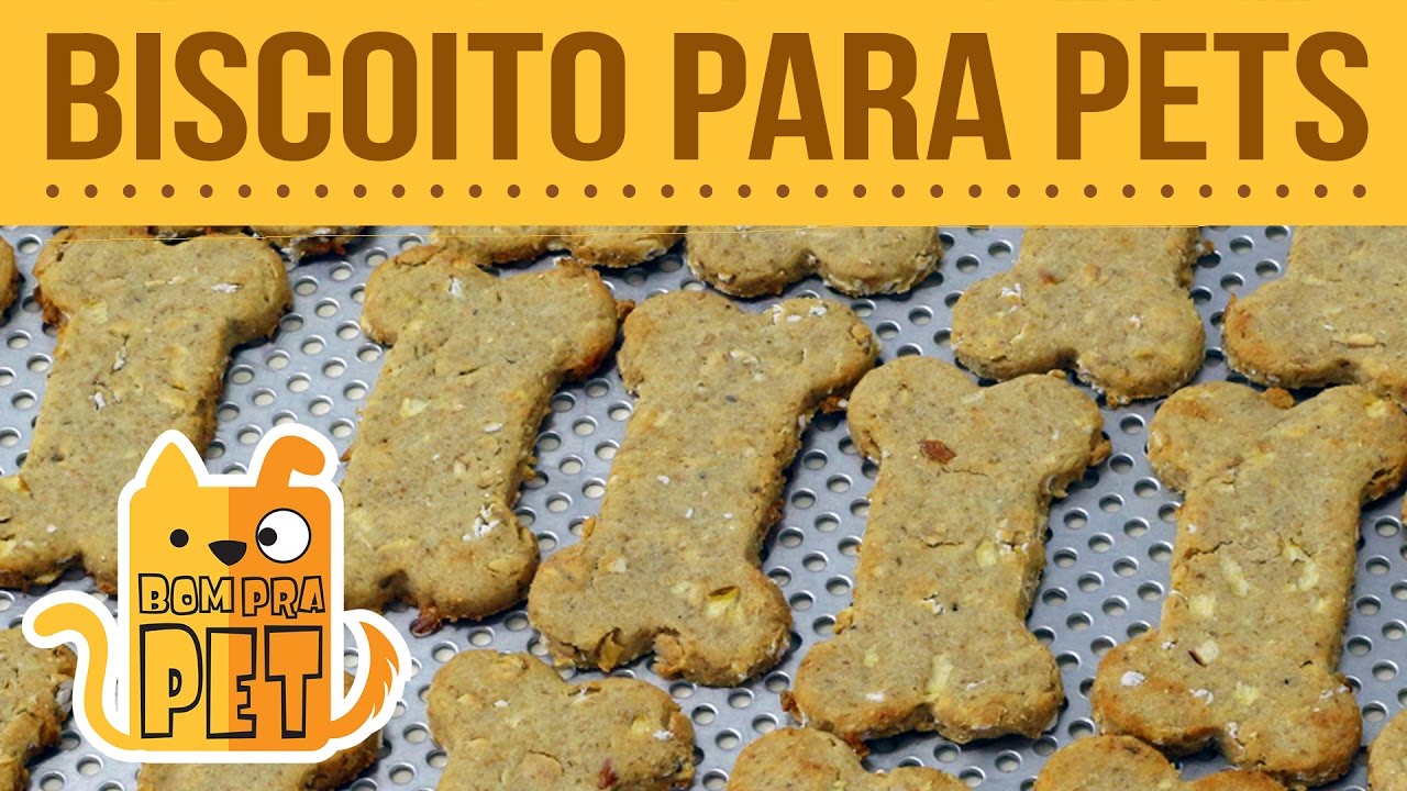 COMO FAZER BISCOITOS CASEIROS PARA O SEU PET! RECEITA BOM PRA PET