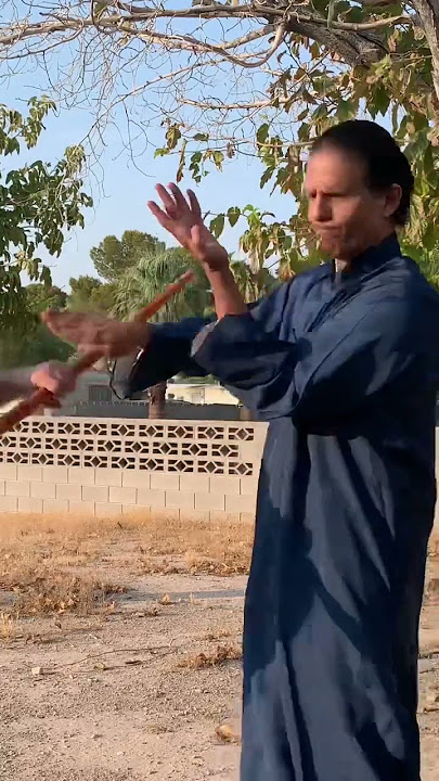 Wing chun too fast ! #shorts