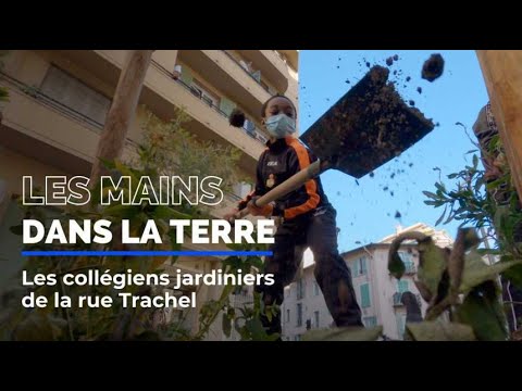 À Nice, ces collégiens jardinent dans la rue pour embellir leur quartier