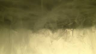 Double diffusive sediment convection