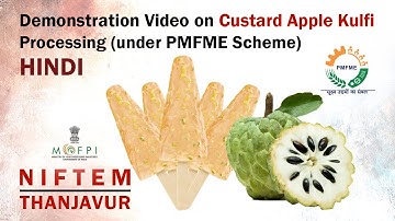 Demonstration Video on Custard Apple Kulfi Processing (under PMFME Scheme) - HINDI