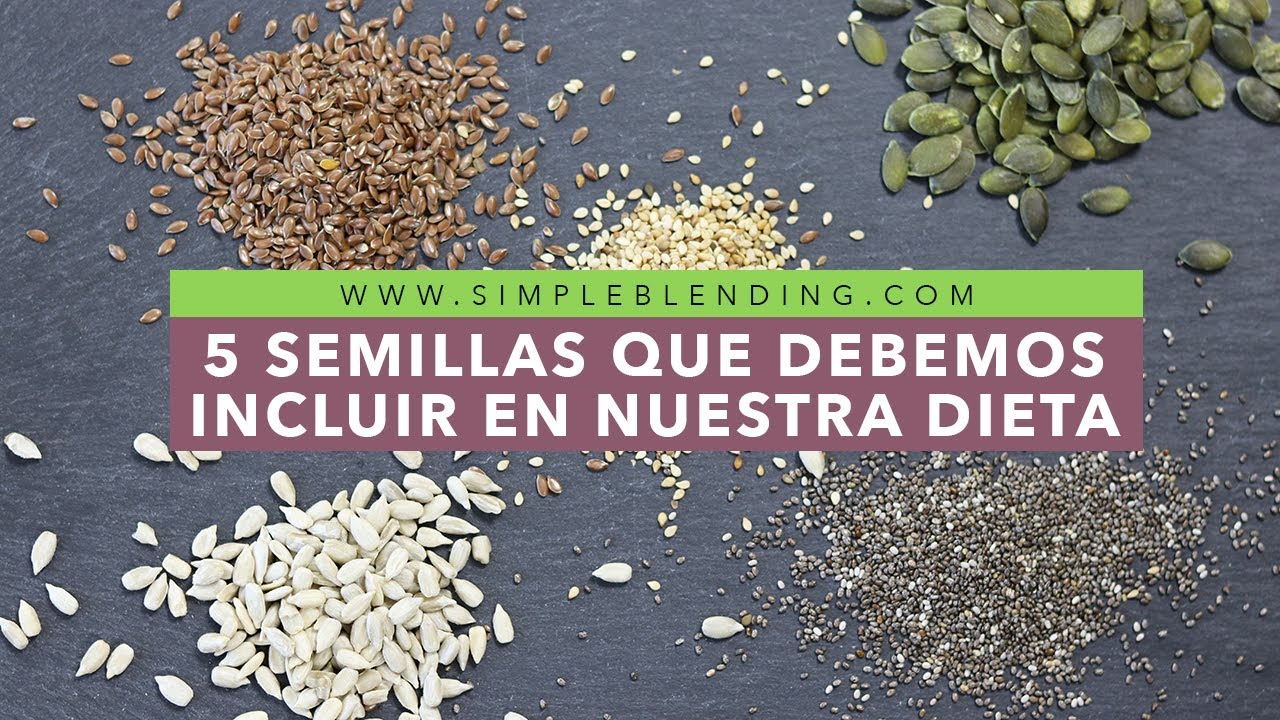 las semillas con mas proteinas