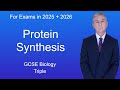 GCSE Science Revision Biology "Protein Synthesis" (Triple)