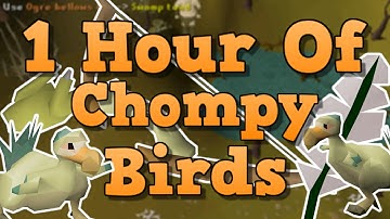 OSRS Chompy Bird Hunting Guide - 200+ Kills/Hour 2021