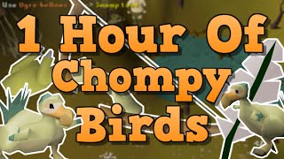 OSRS Chompy Bird Hunting Guide - 200+ Kills/Hour 2021