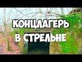 Немецкий концлагерь Калининградская область, находки, поиск, подземелья, подвалы, руины, история