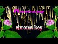 chroma key  flowers