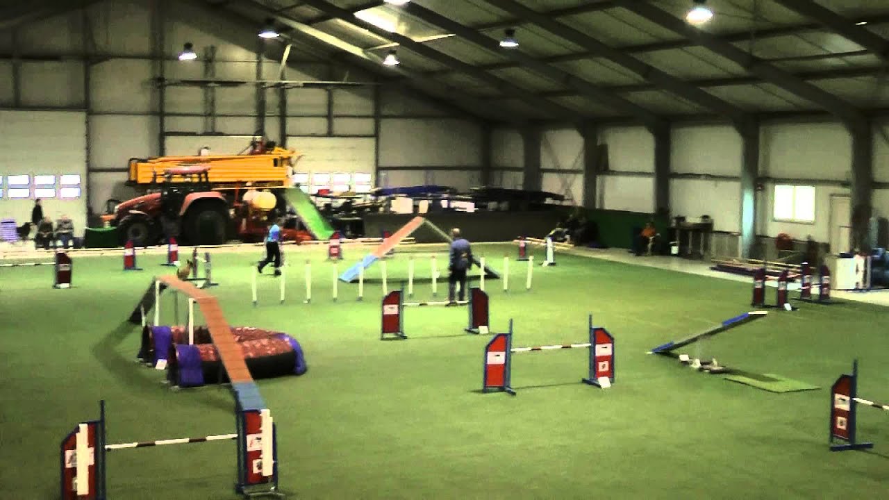 belgian shepherd for sale south africa wc selection belgian shephers finals for fmbb 2013 agility youtube belgian shepherd for sale south africa wc selection belgian shephers finals for fmbb 2013 agility youtube
