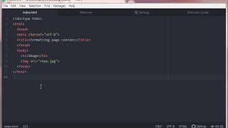 2.13 HTML Image Tag - src Attribute