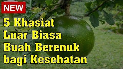 5 Khasiat Luar Biasa Buah Berenuk bagi Kesehatan