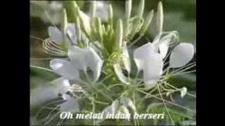 Oh Melati - Eddy Silitonga