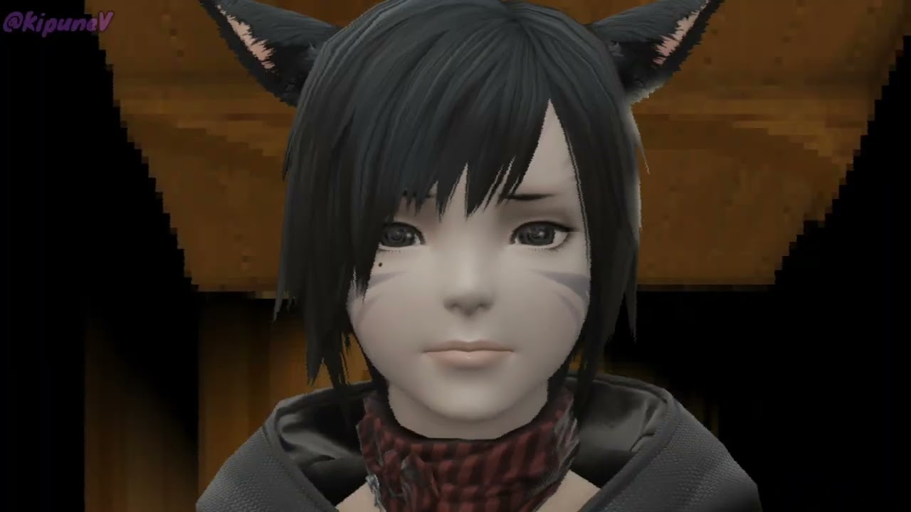 Looping the Rooms – Parody. 🐱#ffxivmemes ?? #kipunev