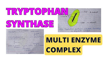 Tryptophan synthase | Multi Enzyme complex | Structure| Enzymology | Microbiology