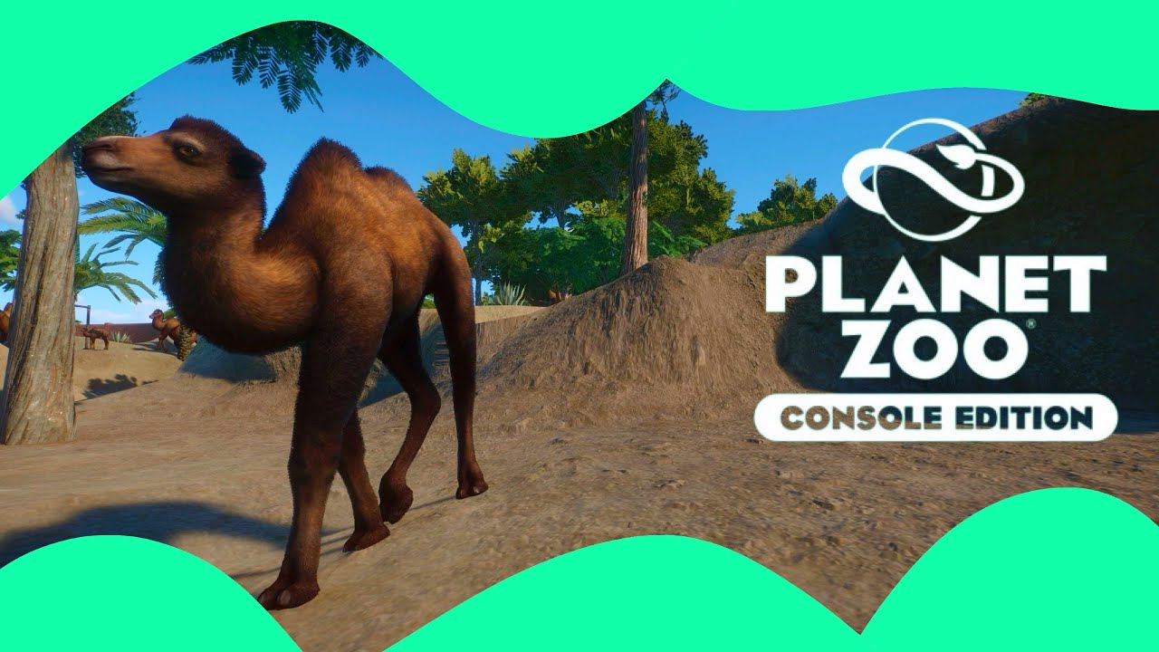 CAMELS, GAZELLES AND ZEBRAS! | Let’s Build a Shih Tzu! Planet Zoo Console | Episode 2