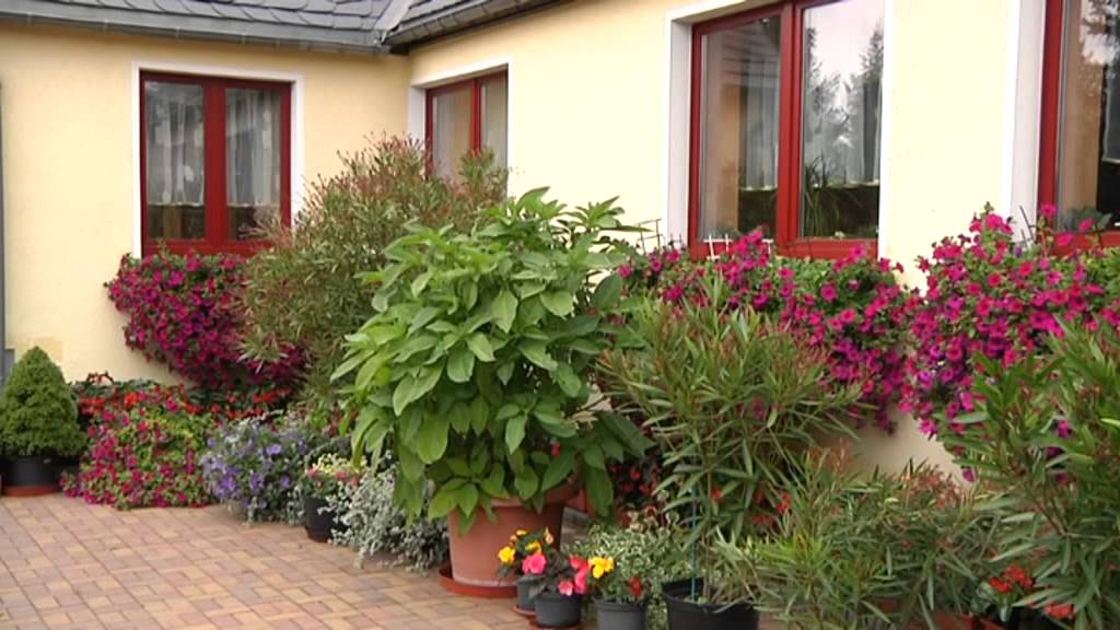 Lugsteinbaude am Georgenfelder Hochmoor