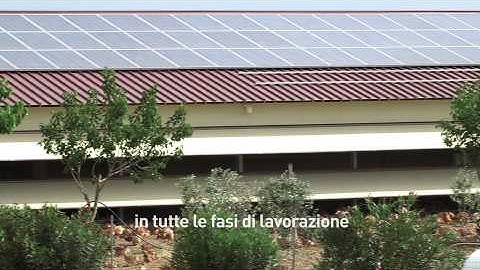 Il pollo Campese
