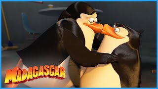 Private Never Gets Left Behind! | DreamWorks Madagascar by DreamWorks Madagascar 25,819 views 1 month ago 3 minutes, 46 seconds