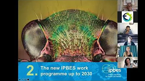 BiodivERsA information Webinar on the IPBES Nexus Assessment