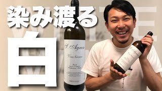 【イタリア 白ワイン】地元の人が日常的に飲むワイン、心と身体に染み渡る！ ゆきおとワイン185「Fanetti Bianco S.Agnese 2016」