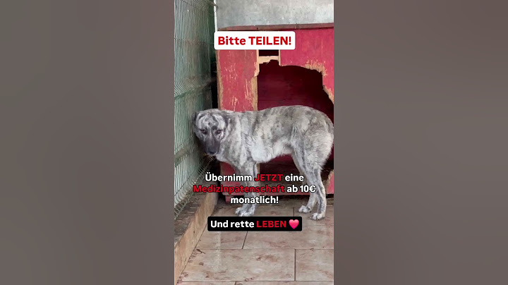 ❌ DRINGEND: Hunde in der Tötungsstation brauchen DEINE Hilfe! ❌ ‼️JETZT teilen & Leben retten‼️💔🙏🏼