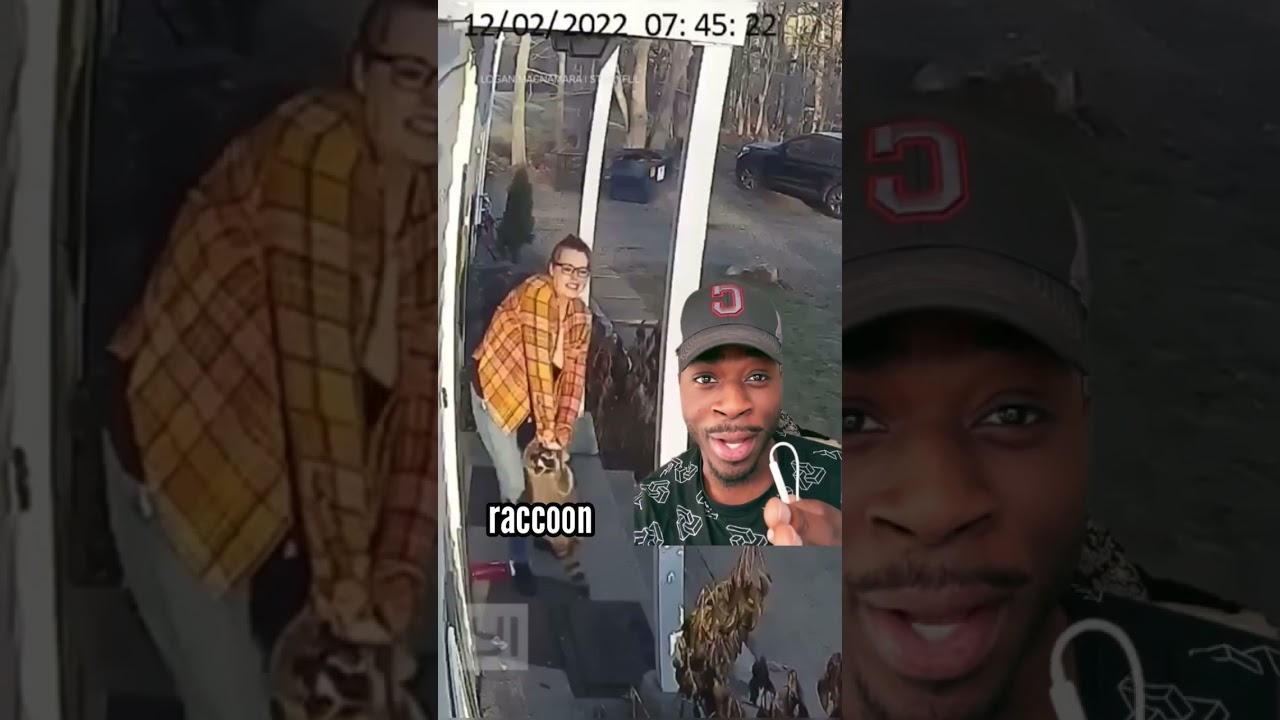 Mom saves her daughter from a killer raccoon 🤣