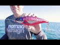 The fastest bluewater trolling lure  madscad 190at