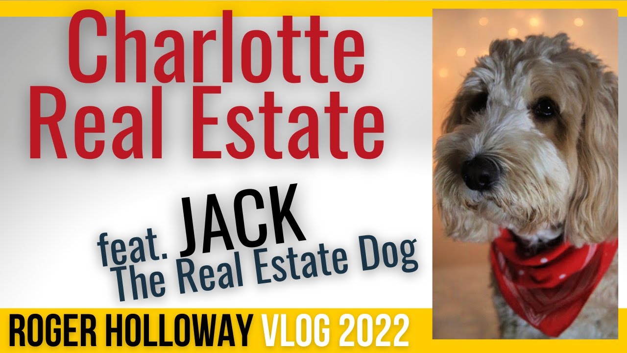 Charlotte Real Estate Market? [feat. Jack the Real Estate Dog] YouTube