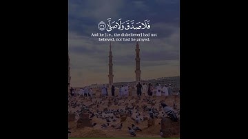 @سورة القيامه@سعد الغامدي