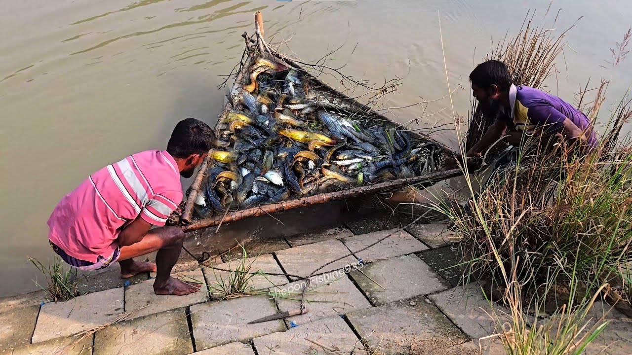 Рыболовная клетка из бамбука для ловли рыбы под водой – древняя культура рыболовства в деревне