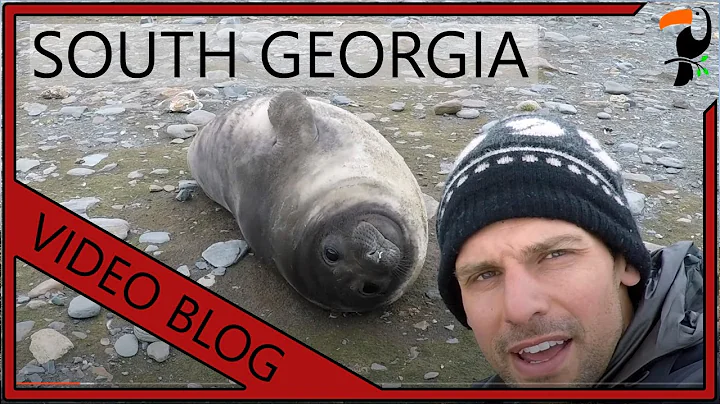 Video Blog - South Georgia and the Falkland Islands