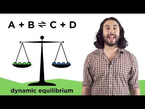Video: Hvad udligner, når et system når ligevægt?