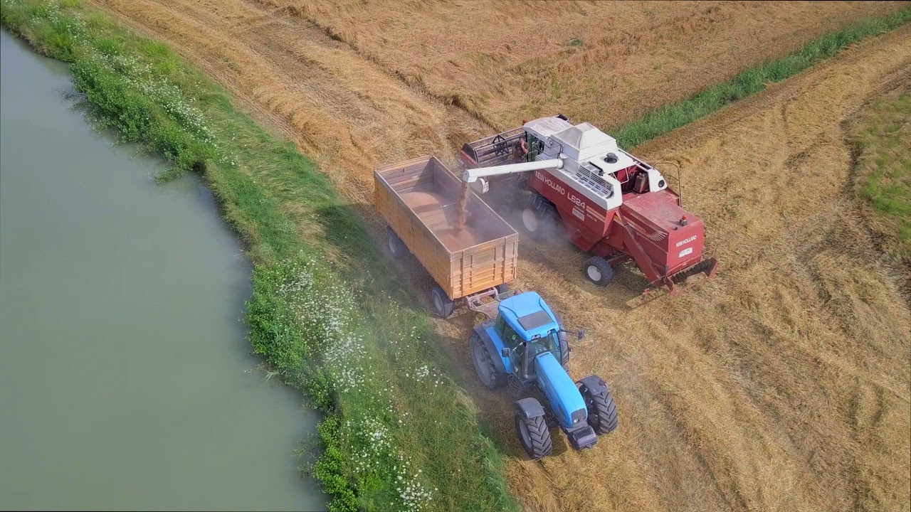 Trebbiatura grano - Barbanti Macchine snc - Laverda L624 e Laverda L521