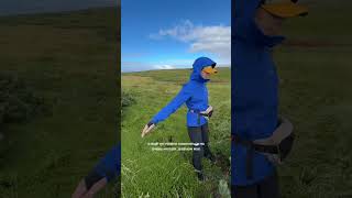 Остров Шумшу, Северные Курилы #путешествия